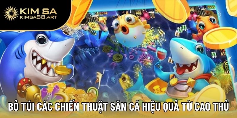 Bỏ túi các chiến thuật săn cá hiệu quả từ cao thủ