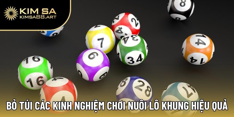 Bỏ túi các kinh nghiệm chơi nuôi lô khung hiệu quả