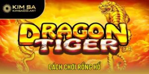 cách chơi Rồng Hổ