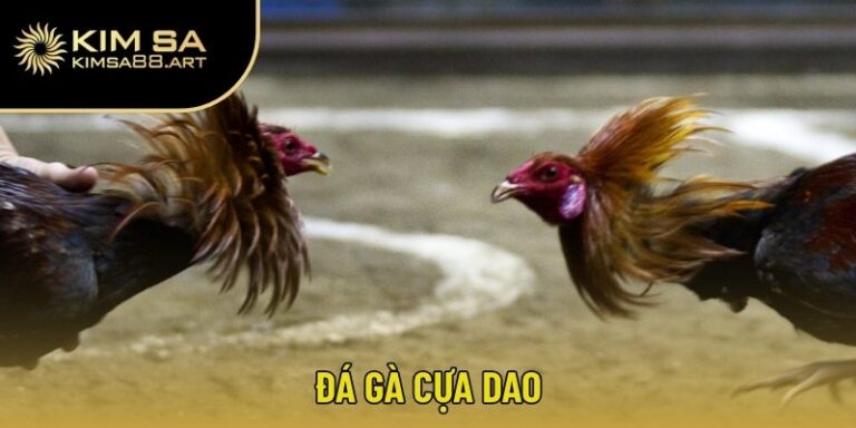 đá gà cựa dao