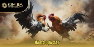 đá gà cựa sắt