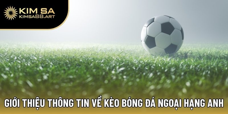 Kèo Bóng Đá Ngoại Hạng Anh – Cập Nhật Tỷ Lệ Kèo Mới Nhất 2025 1 Giới thiệu thông tin về kèo bóng đá Ngoại Hạng Anh