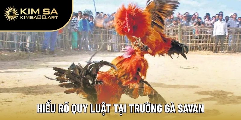 Trường Gà Savan – Thiên Đường Thi Đấu Đỉnh Cao Tại Châu Á 2 Hiểu rõ quy luật tại trường gà Savan