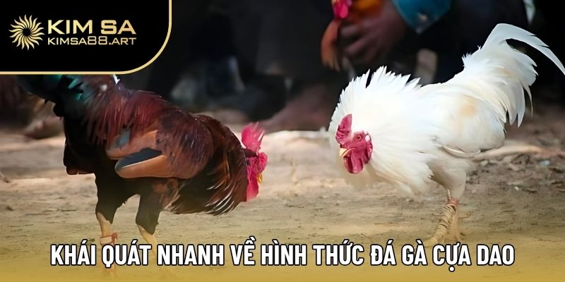 Đá Gà Cựa Dao – Chọn Chuẩn Gà Đòn, Tiền Về Như Nước 1 Khái quát nhanh về hình thức đá gà cựa dao