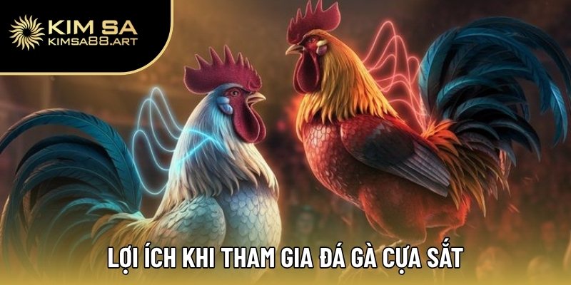Đá Gà Cựa Sắt – Xu Hướng Cá Cược Đỉnh Cao Năm 2025 3 Lợi ích khi tham gia đá gà cựa sắt