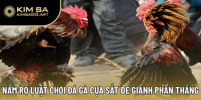 Đá Gà Cựa Sắt – Xu Hướng Cá Cược Đỉnh Cao Năm 2025 2 Nắm rõ luật chơi đá gà cựa sắt để giành phần thắng