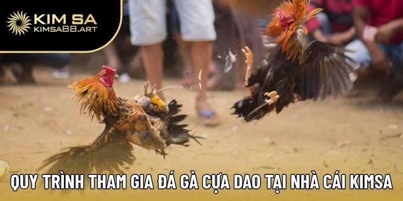 Đá Gà Cựa Dao – Chọn Chuẩn Gà Đòn, Tiền Về Như Nước 3 Quy trình tham gia đá gà cựa dao tại nhà cái Kimsa