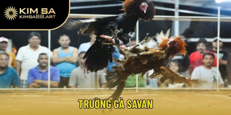 trường gà Savan
